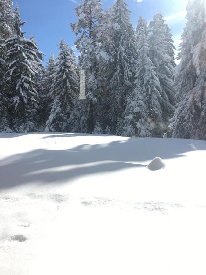 Borovets Chalets 外观 照片