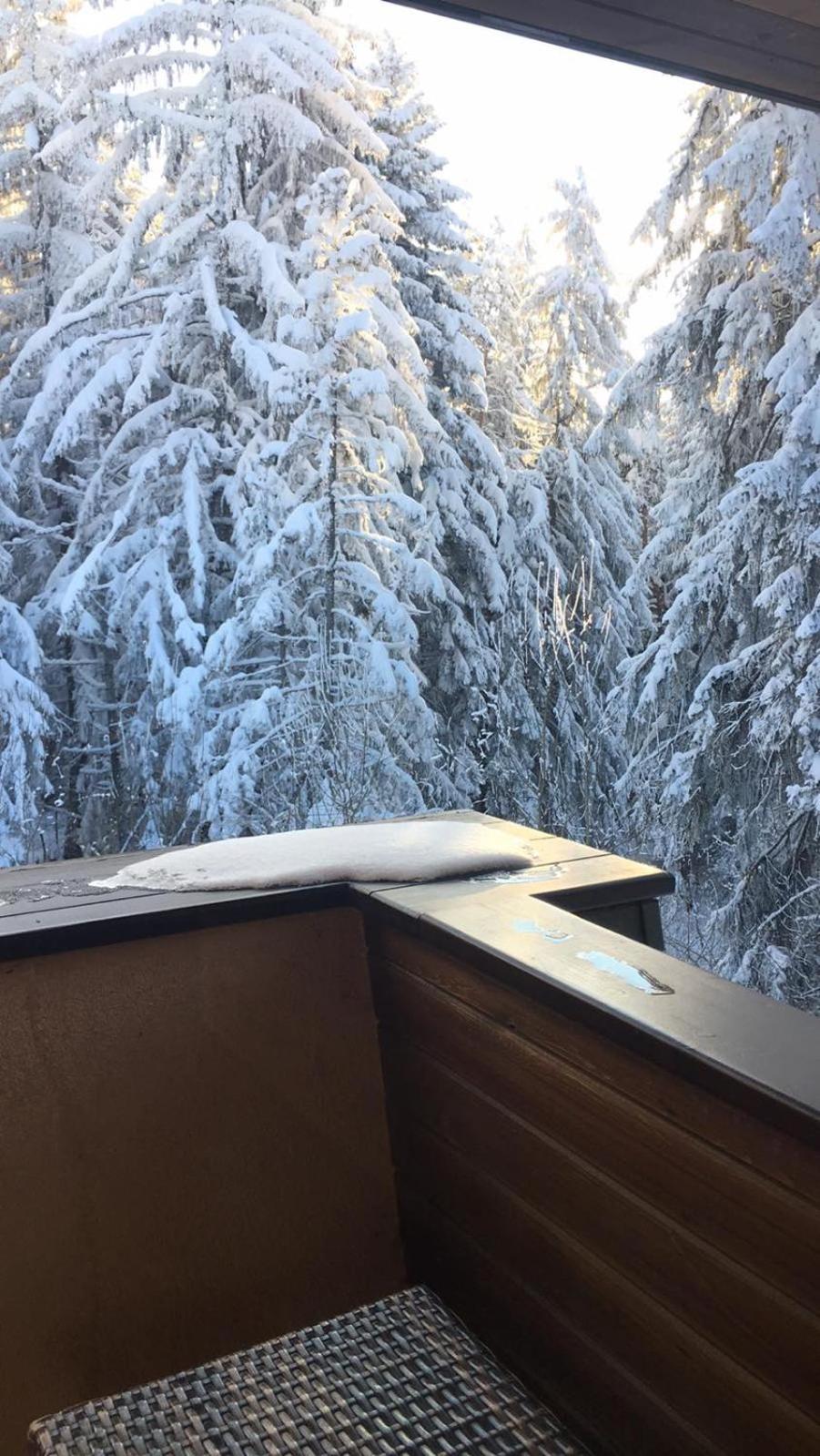 Borovets Chalets 外观 照片