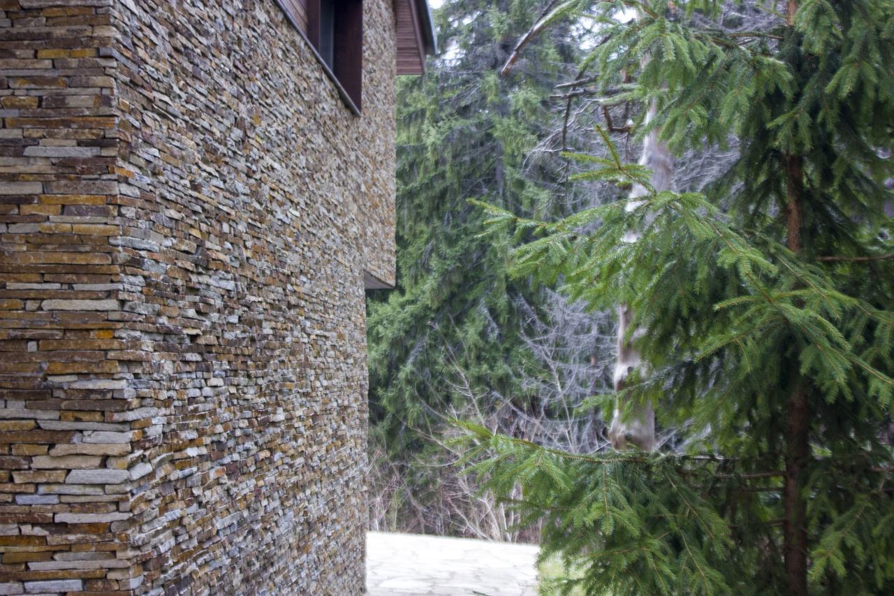 Borovets Chalets 外观 照片