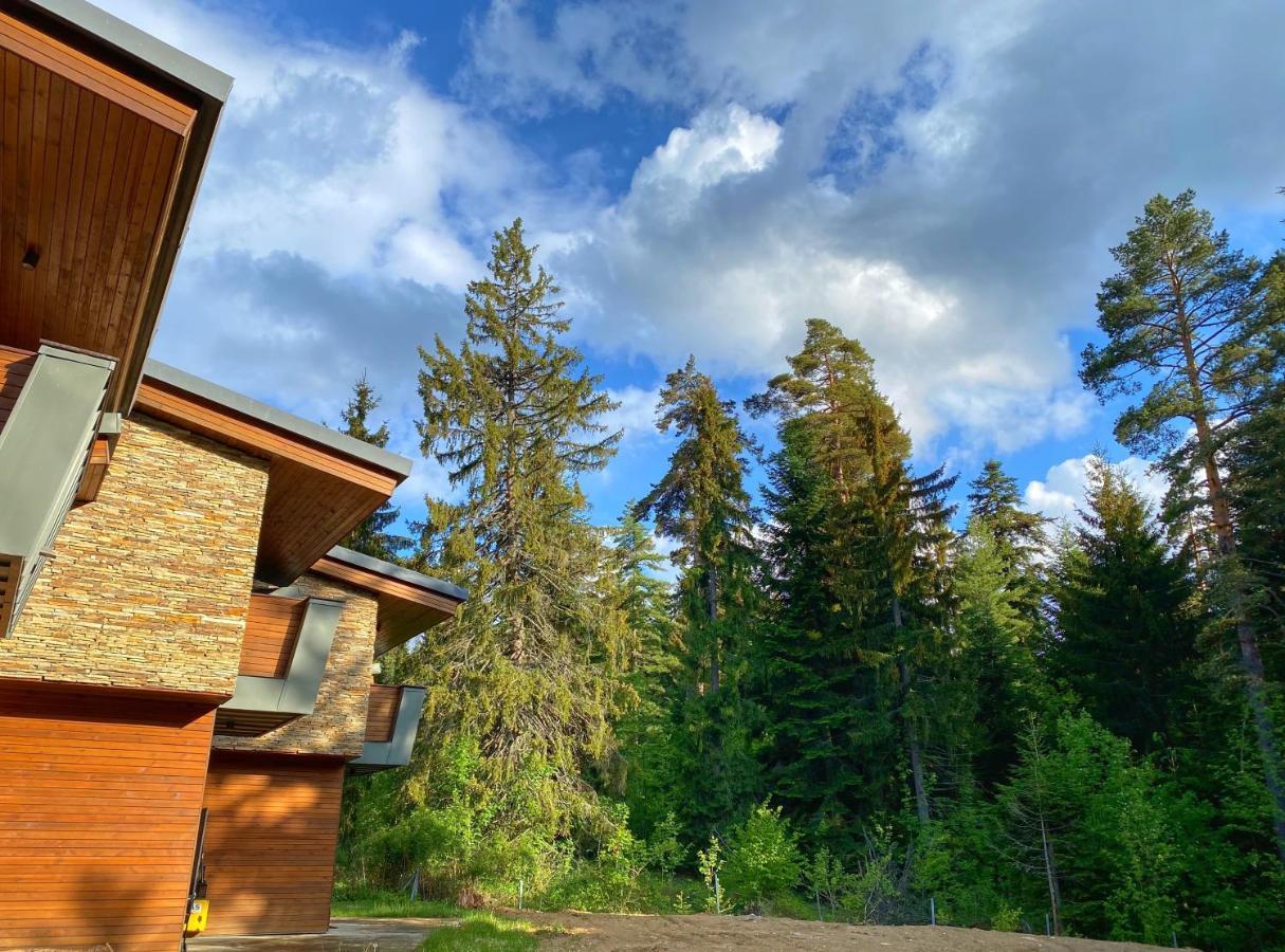 Borovets Chalets 外观 照片